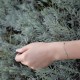 Azzurro - 18k Gold bracelet