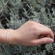 Azzurro - 18k Gold bracelet