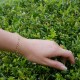 Collegare - 14k Gold bracelet