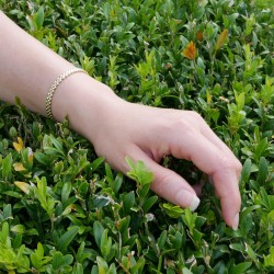 Davena - 14k Gold bracelet