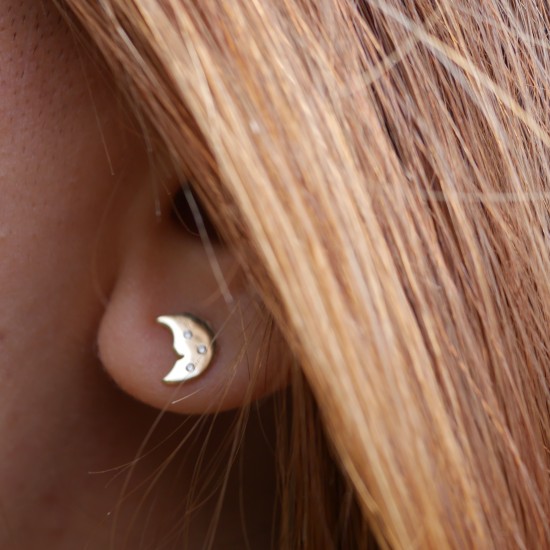 Diluna - 14k Gold earrings