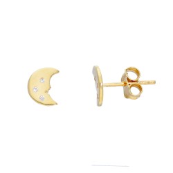 Diluna - 14k Gold earrings
